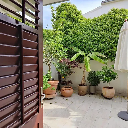 Little Backyard